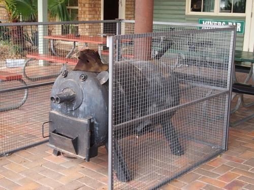 Lightning Ridge Outback Resort & Caravan Park Extérieur photo